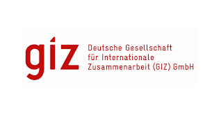 Giz